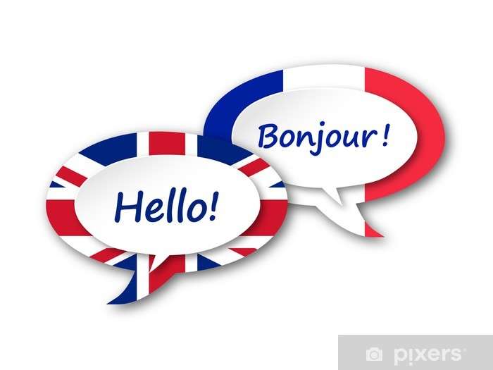 French and English Language Private Teacher