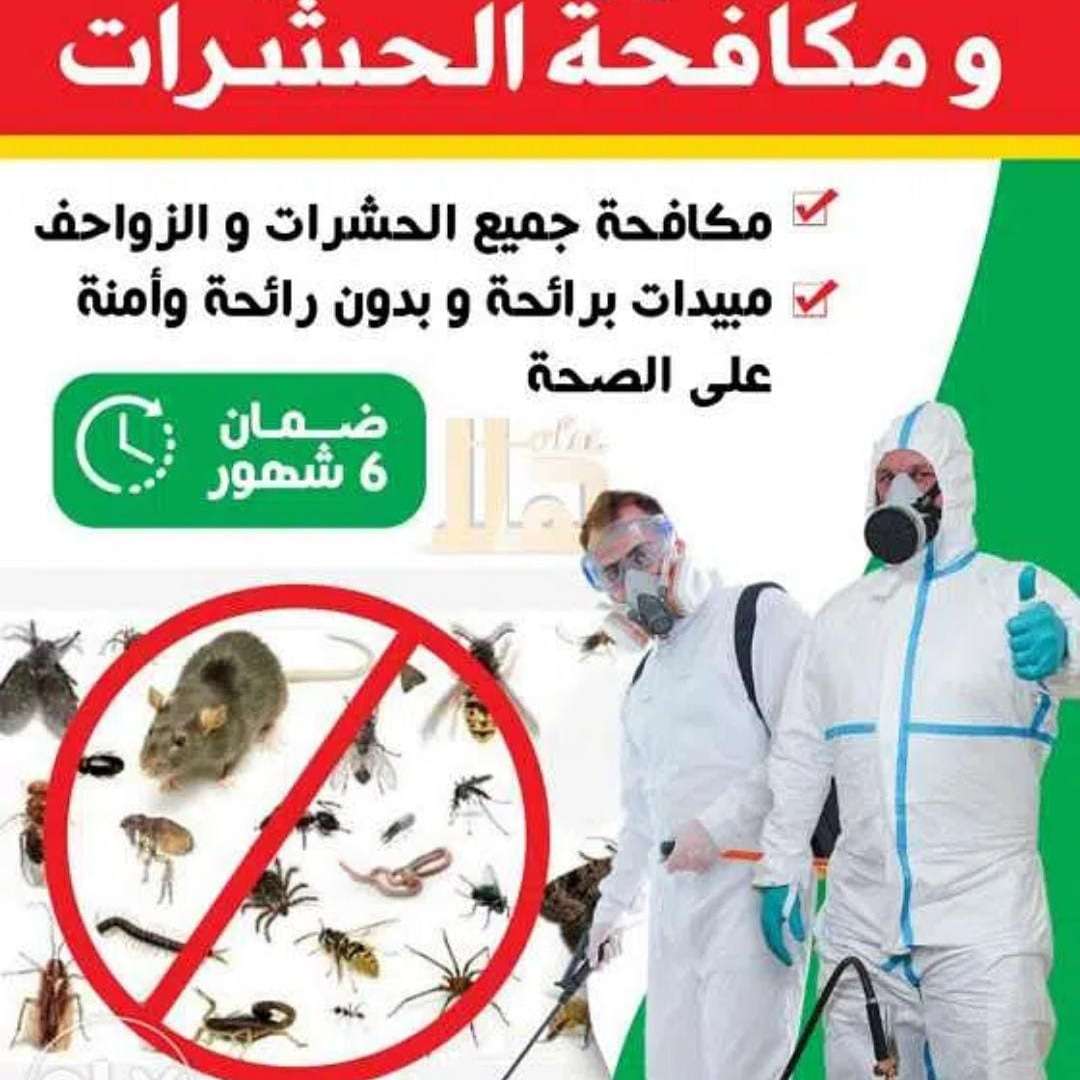 Pest Control of all insects and reptiles